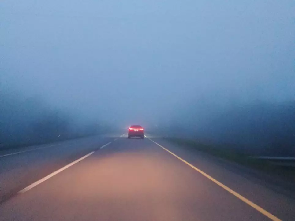 О тумане на дорогах предупредили автомобилистов Ростовской области
