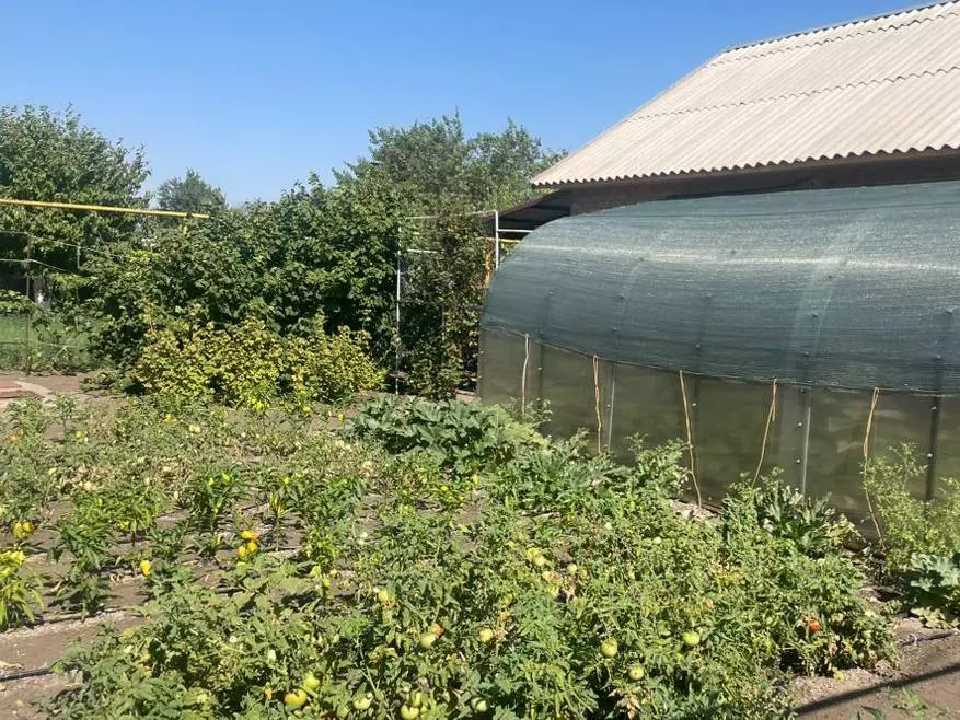 Садоводам из Ростовской области рассказали, что нельзя строить на своим участке