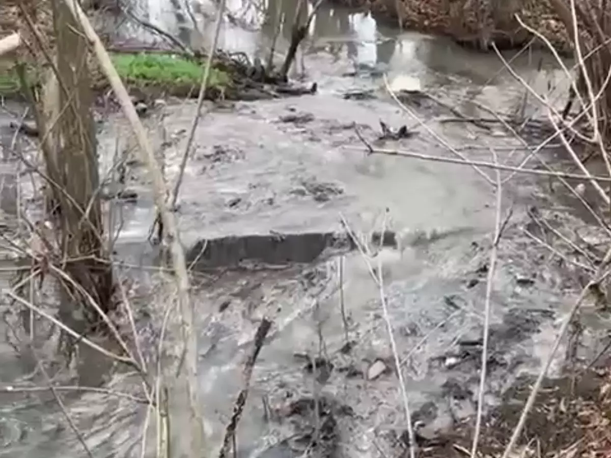 Жители Шахт зафиксировали очередной сброс нечистот в реку Грушевка