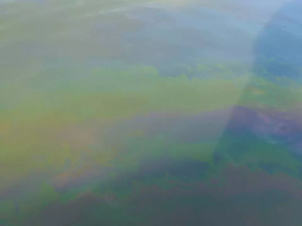 Семикаракорский затон покрылся мазутом после прохода баржи