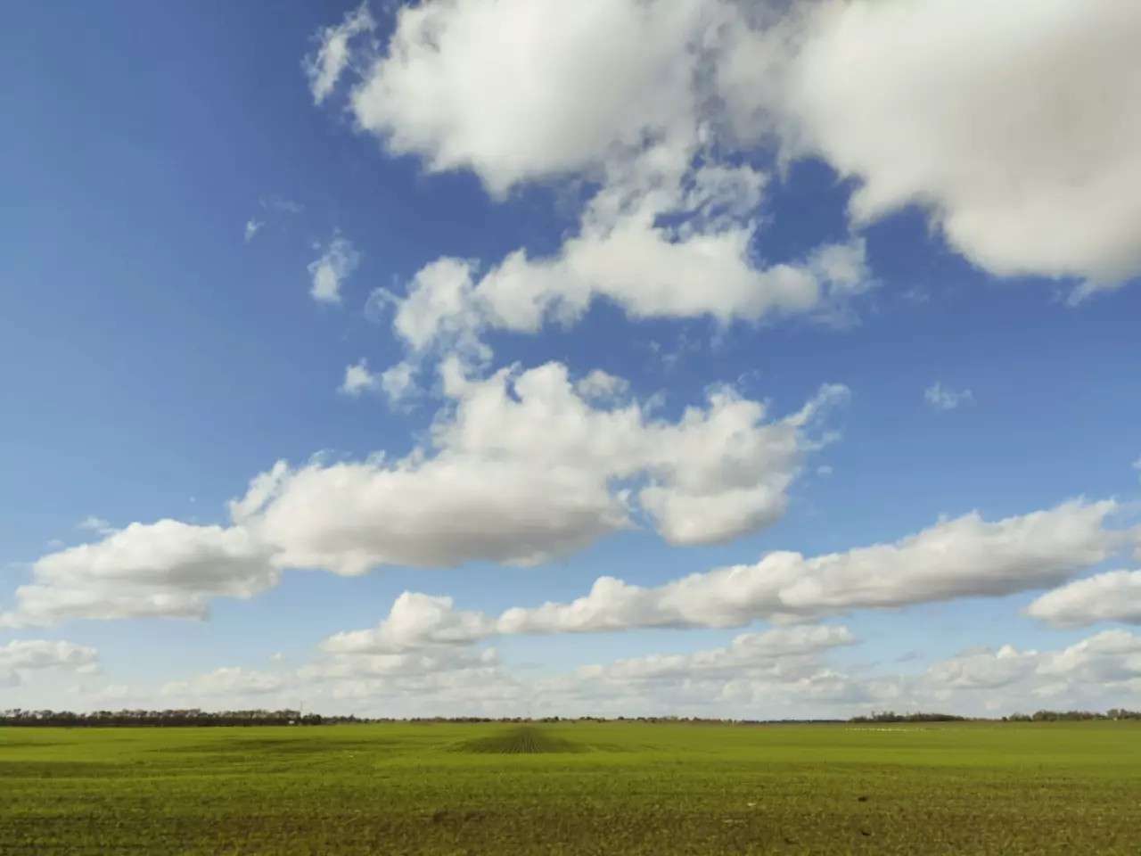 В Ростовской области четырем районам угрожает почвенная засуха