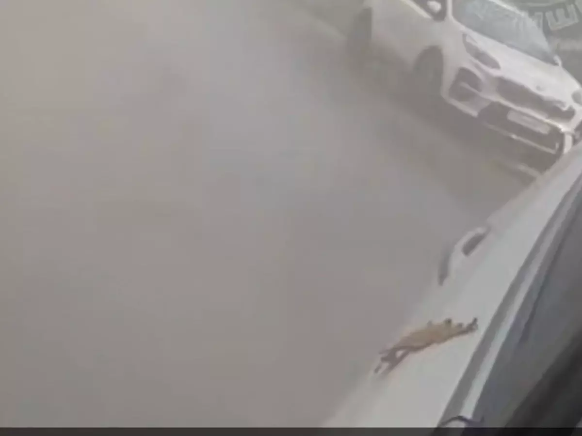 В Ростове на Таганрогской забил гейзер