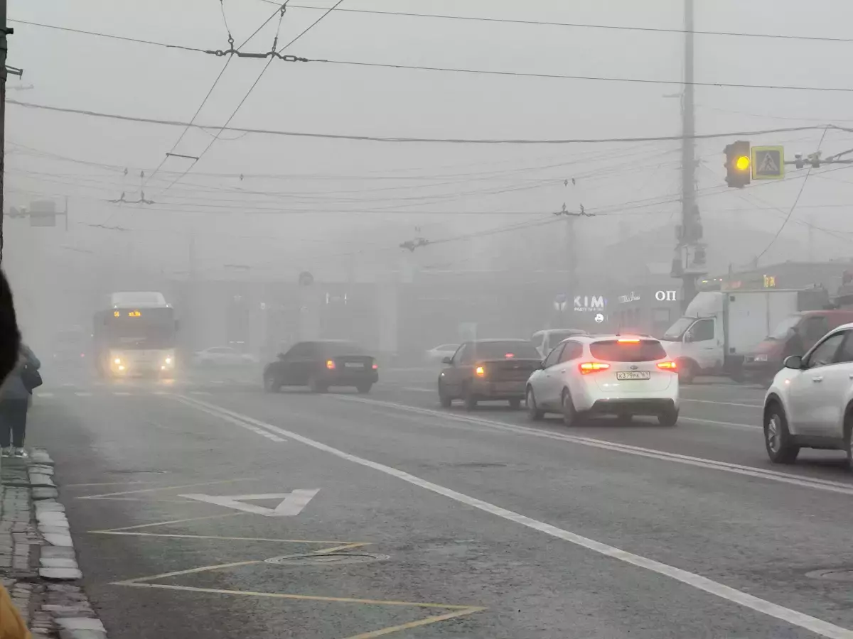 В выходные в Ростовской области ожидается туман и теплая погода