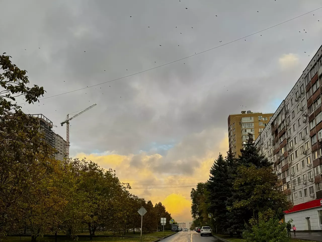 Резкое похолодание накроет Ростовскую область после аномального потепления