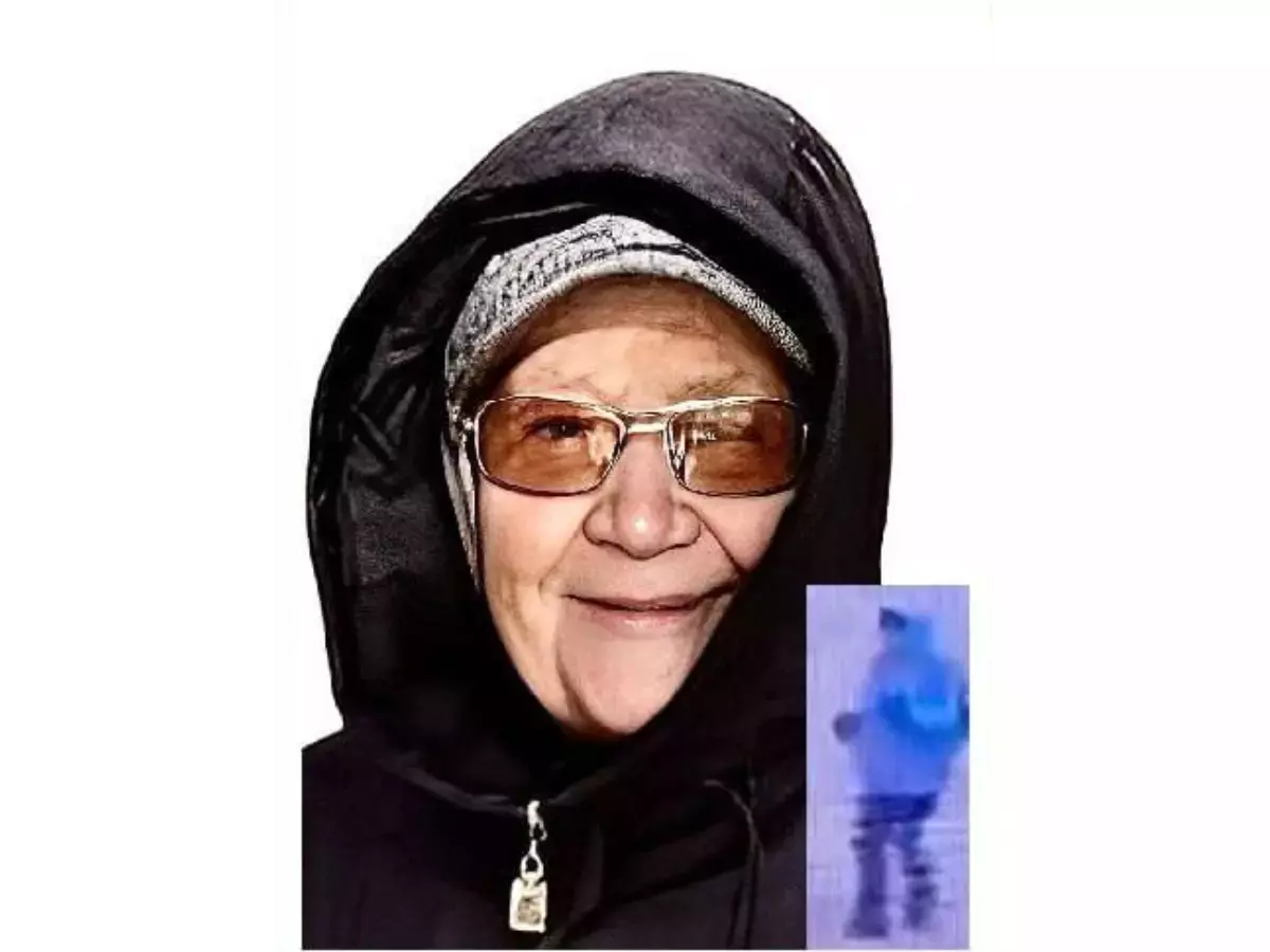 В Ростовской области к поиску 91-летней бабушки привлекли волонтеров из 5 регионов