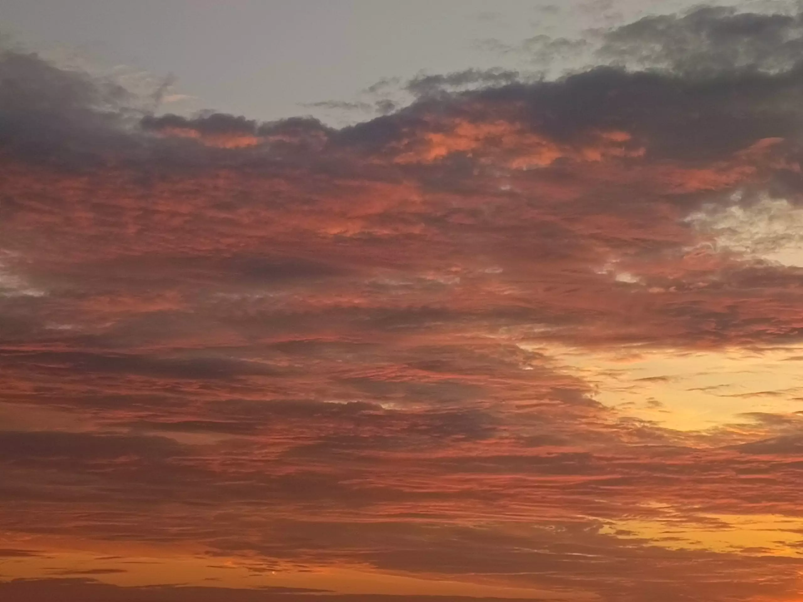 16 беспилотников сбили над Ростовской областью