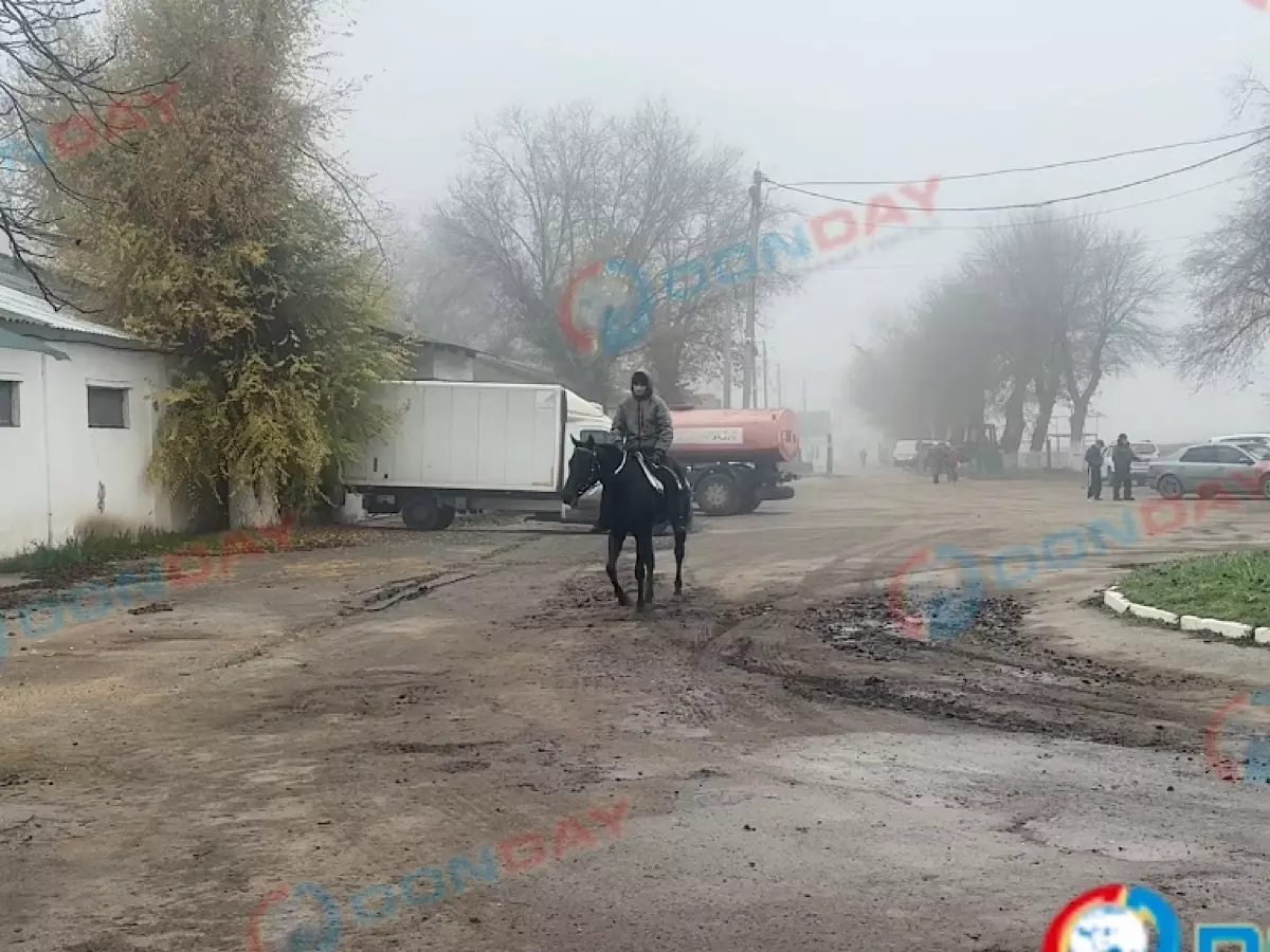 День закрытия ипподрома в Ростове: конники не намерены покидать территорию