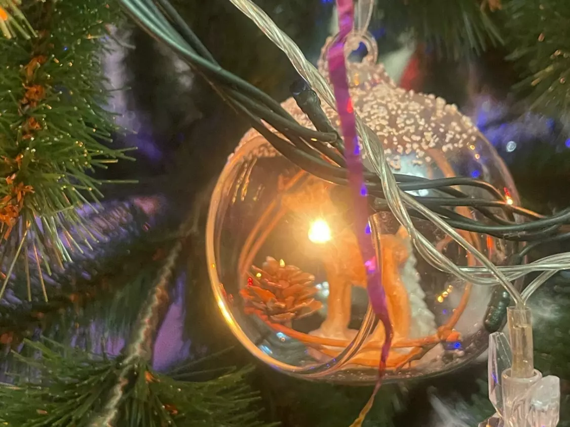 Юрист из Ростовской области рассказала о штрафах за установку новогодней елки во дворе