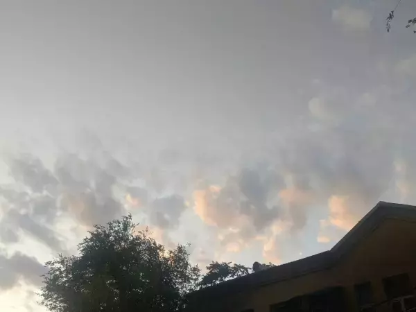 В Ростовской области на новой рабочей неделе потеплеет до +20 градусов