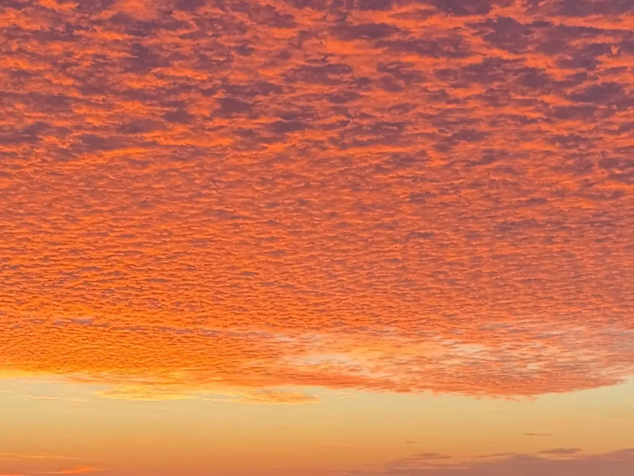 Четыре беспилотника уничтожили за три часа в небе над Ростовской областью 1 ноября