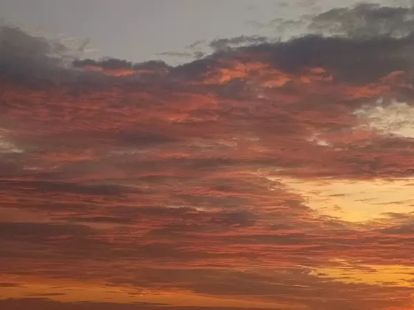 Силы ПВО уничтожили 69 БПЛА над регионами России