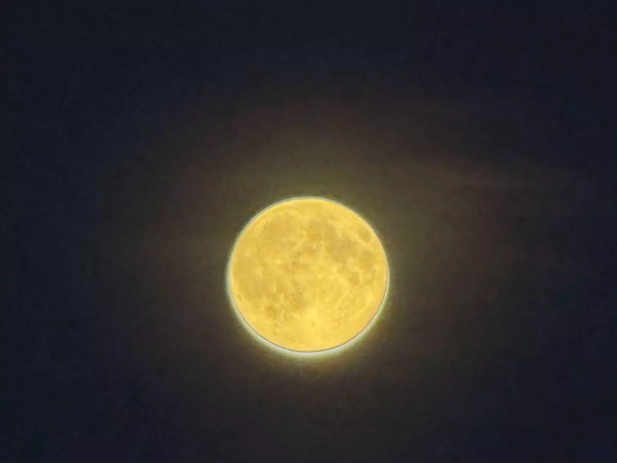 Жители Ростовской области поделились яркими кадрами Бобровой Луны