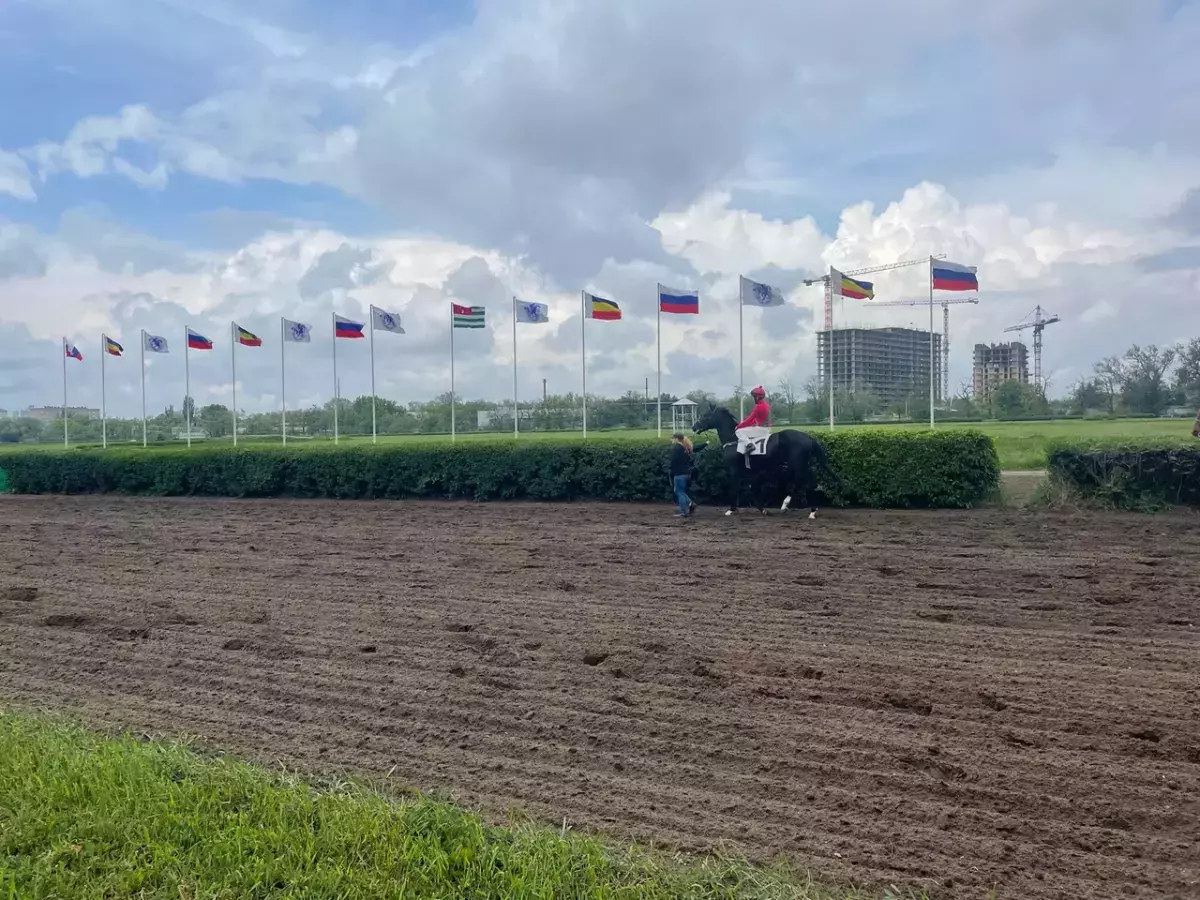 Ростовский ипподром изменил юридическое название на «Малюгина 2»