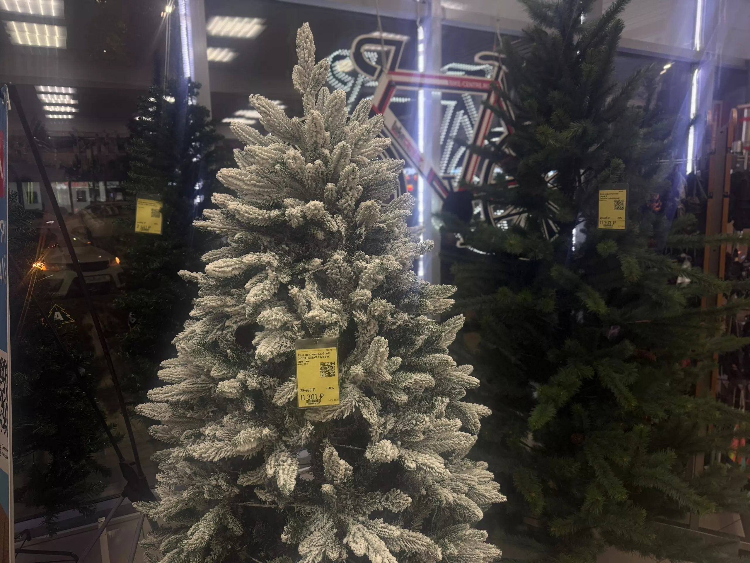 В ноябре в Ростове начали продавать новогодние елки