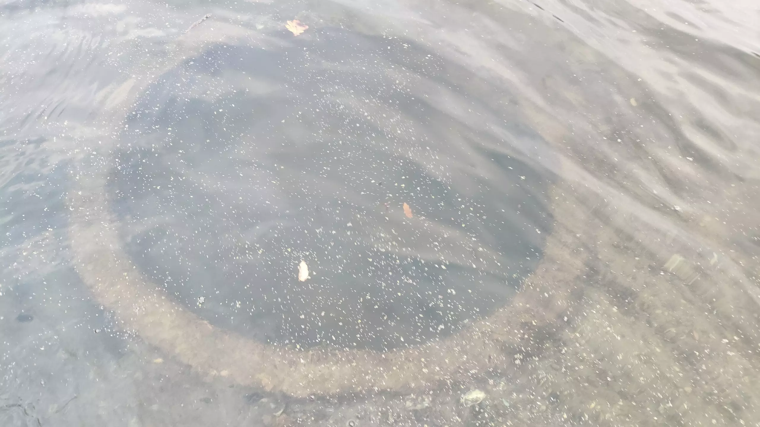 В реке Ростовской области рыбаки случайно нашли ДОТ времен войны