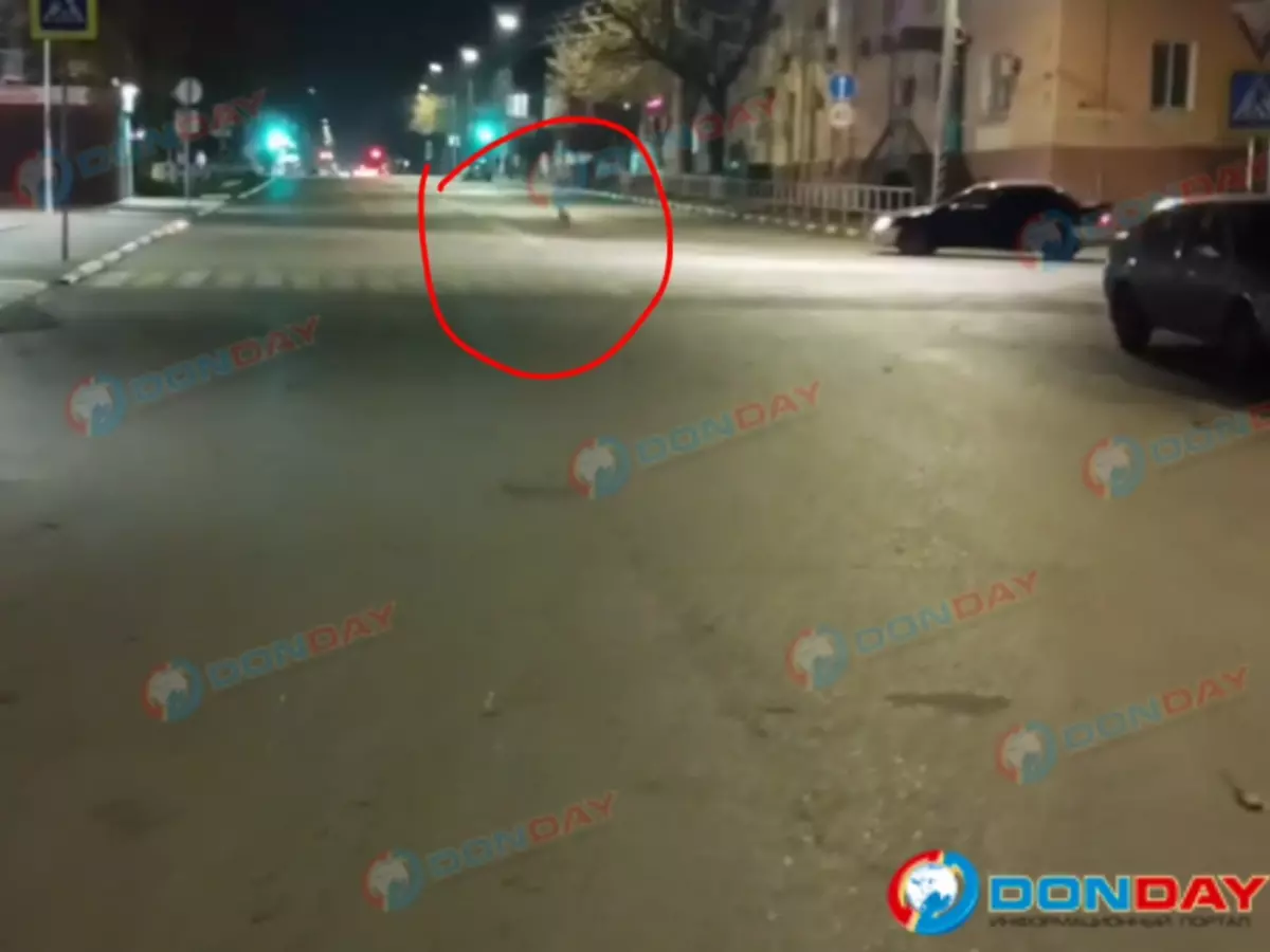 Фото: Людмила