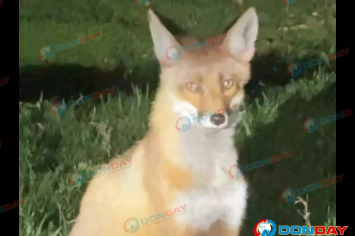 Фото: соцсети