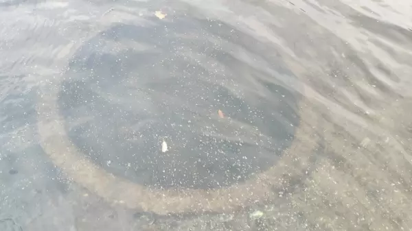 Фото к материалу: Найденный в реке Северский Донец пулеметный колпак времен ВОВ станет экспонатом