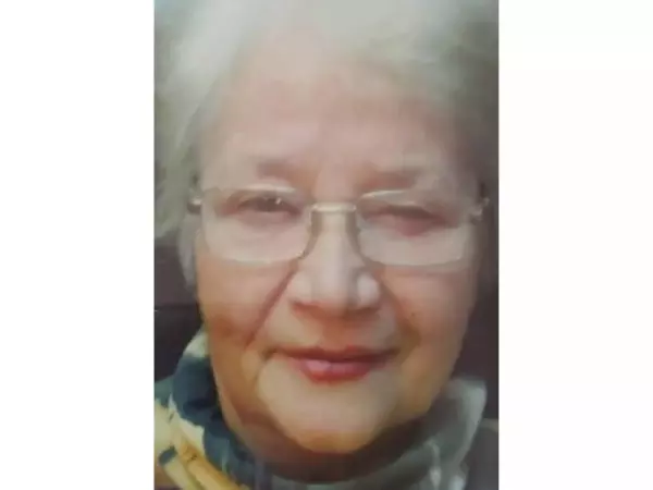 Фото к материалу: К поискам 91-летней пенсионерки из Ростовской области привлекли автомобилистов