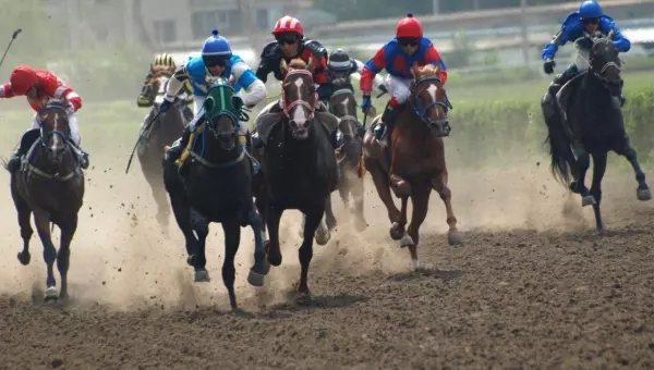 Фото к материалу: Минимущества Ростовской области подало иск в суд на Ростовский ипподром