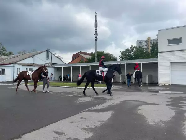 Фото к материалу: Полсотни лошадей могут оказаться на улице после закрытия ипподрома в Ростове