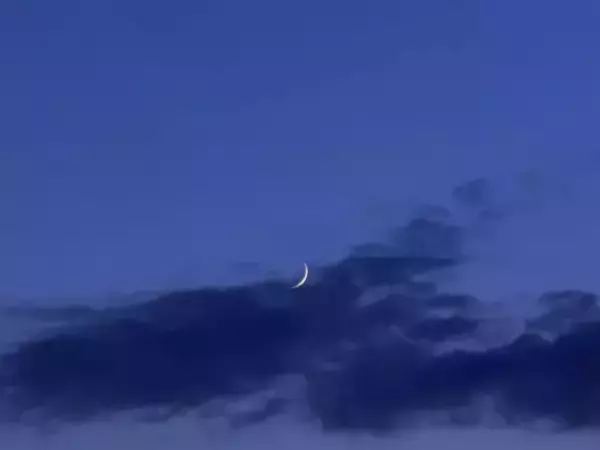 Фото к материалу: Еще пять БПЛА сбили над Ростовской областью 14 ноября