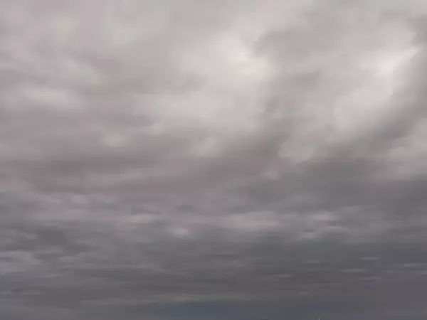 Фото к материалу: За ночь в Ростовской области БПЛА перехватили в четырех муниципалитетах