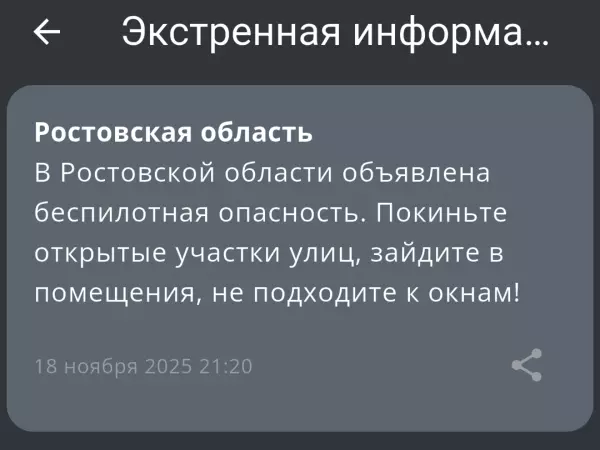 Фото к материалу: В Ростовской области 18 ноября объявили беспилотную опасность