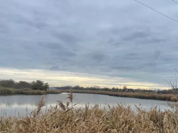 Фото к материалу: В Ростовской области с 15 ноября вводятся сезонные ограничения на вылов рыбы