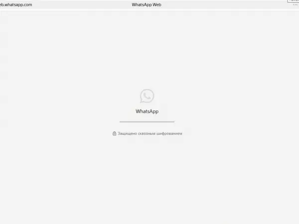 Фото к материалу: В Ростовской области фиксируют масштабный сбой работы WhatsApp*