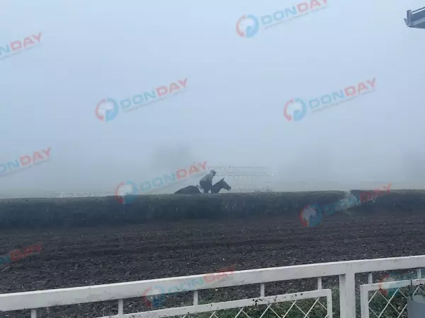 Фото к материалу: Владелец Ростовского ипподрома отказал конникам в отсрочке закрытия объекта