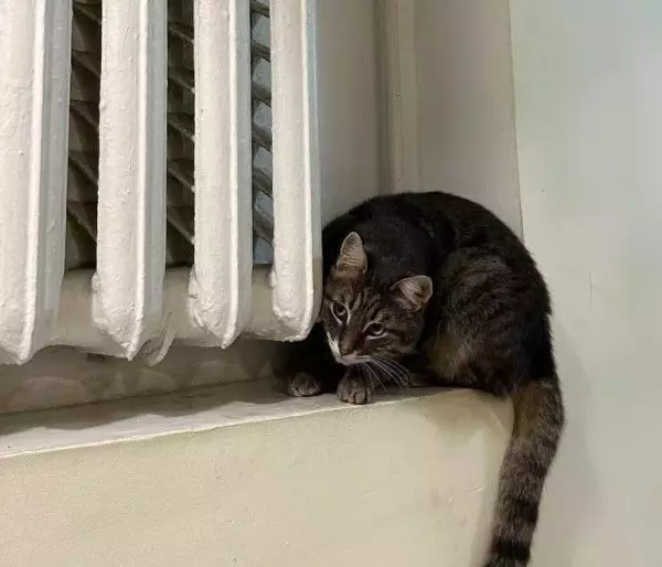 Фото к материалу: В городе Ростовской области без отопления остались 42 дома