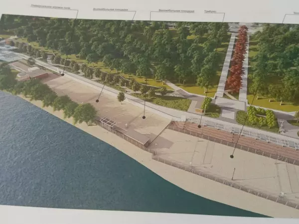 Фото к материалу: Более 300 деревьев хотят снести в парке «Дружба» в Ростове