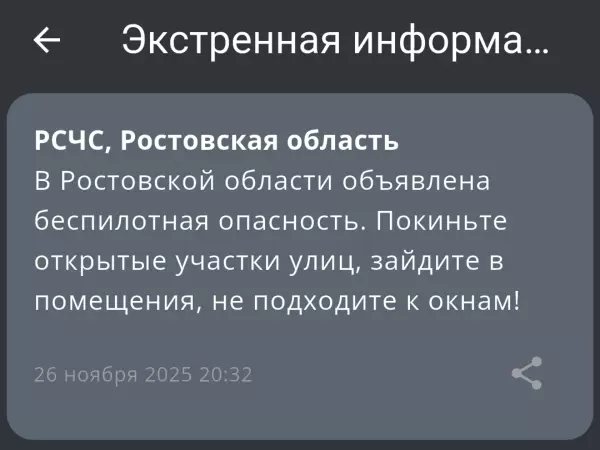 Фото к материалу: В Ростовской области 26 ноября объявлена беспилотная опасность