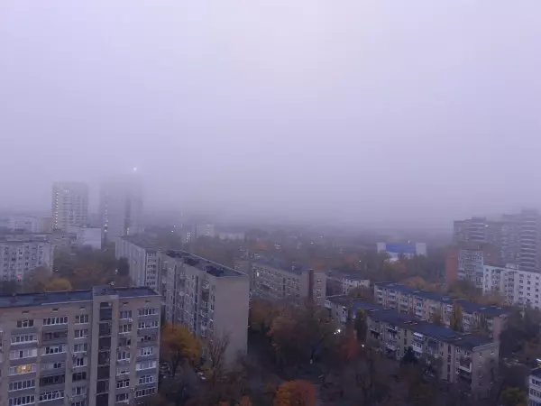 Фото к материалу: В Ростовской области объявлен желтый уровень погодной опасности из-за тумана