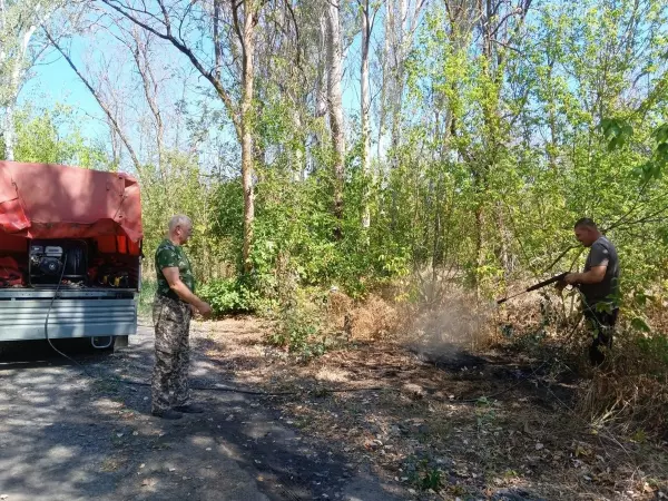 Фото к материалу: В Ростовской области за сутки 10 ноября при пожарах спасли три человека