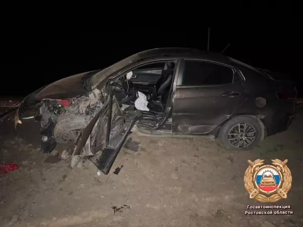 Фото к материалу: В Ростовской области годовалый ребенок пострадал в ДТП