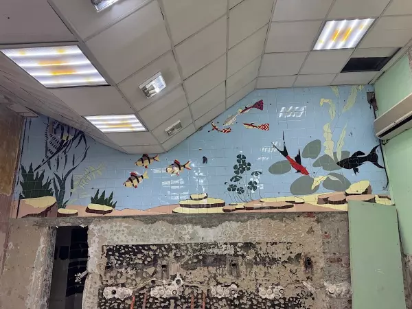 Фото к материалу: В Ростове в бывшем зоомагазине обнаружили уникальную мозаику