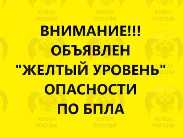 Фото к материалу: Желтый уровень опасности по БПЛА объявили в Ростовской области 22 ноября