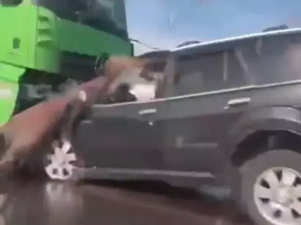 Фото к материалу: Суд вынес приговор дальнобойщику, устроившему смертельное ДТП под Шахтами