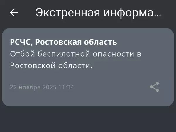 Фото к материалу: Отбой беспилотной опасности объявили в Ростовской области