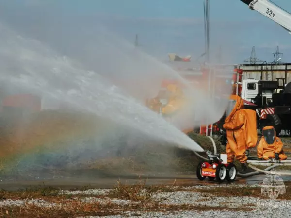 Фото к материалу: За неделю в Ростовской области потушили около 70 пожаров