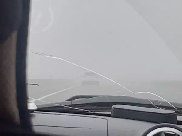 Фото к материалу: Водителей предупредили о густом тумане на дорогах Ростовской области утром 23 ноября