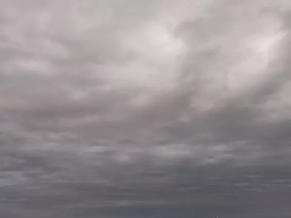 Фото к материалу: Три БПЛА сбили над Ростовской областью