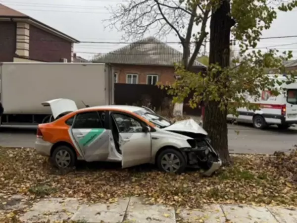 Фото к материалу: «Фольксваген Поло» отлетел в дерево после лобового столкновения с «Солерс Атлант» в Ростове