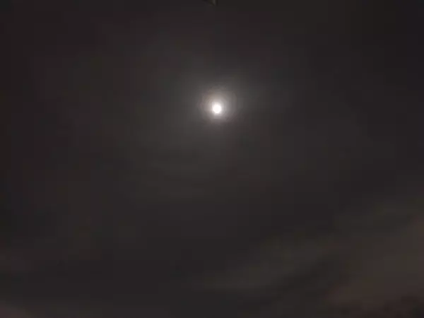 Фото к материалу: Три БПЛА сбили над Ростовской областью