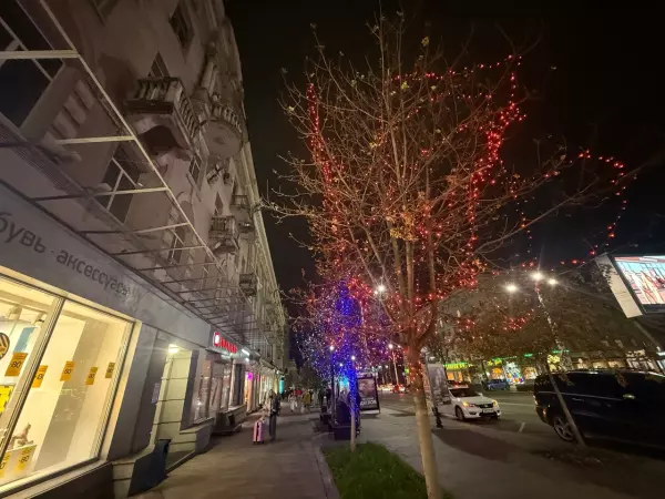 Фото к материалу: Главные улицы Ростова-на-Дону начали украшать к Новому году в ноябре