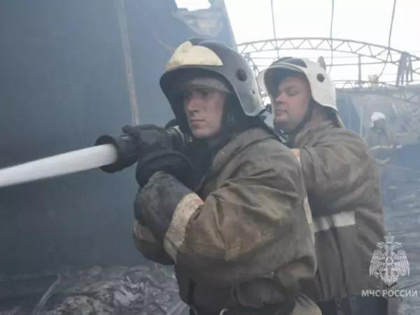 Фото к материалу: За сутки в Ростовской области потушили 13 пожаров