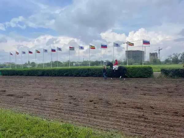 Фото к материалу: Конники подписали коллективное письмо с просьбой отсрочить закрытие Ростовского ипподрома