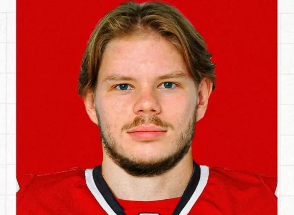 Фото к материалу: В ХК «Ростов» перешел Кирилл Кондырев